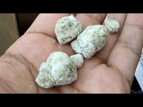 What Are Snow Balls?