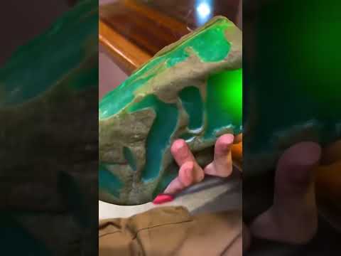 太漂亮了! #animation #music #bear