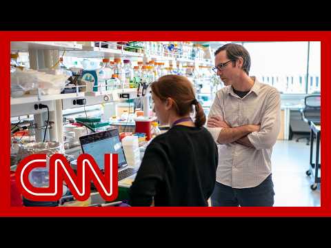 How funding cuts are gutting American science