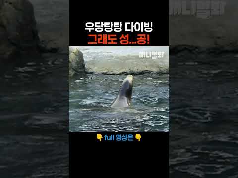 하지만 뛰었죠? #애니멀봐 #shorts