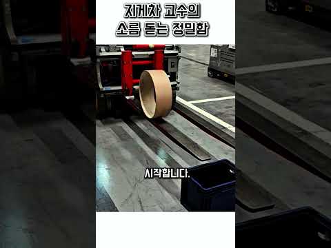 미친 정밀함을 <strong>자랑하는</strong> 지게차기사