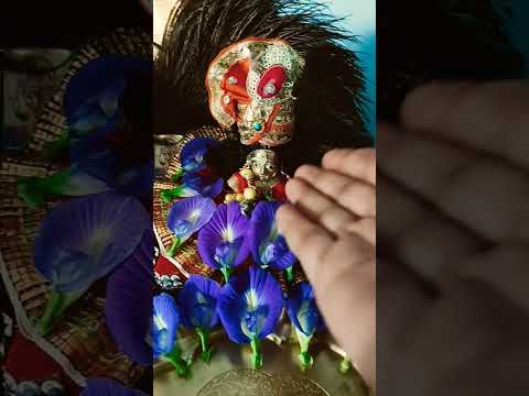 राधा माधव सरकार की जय🦚🙏 #shyam #radheshyam #ytshorts