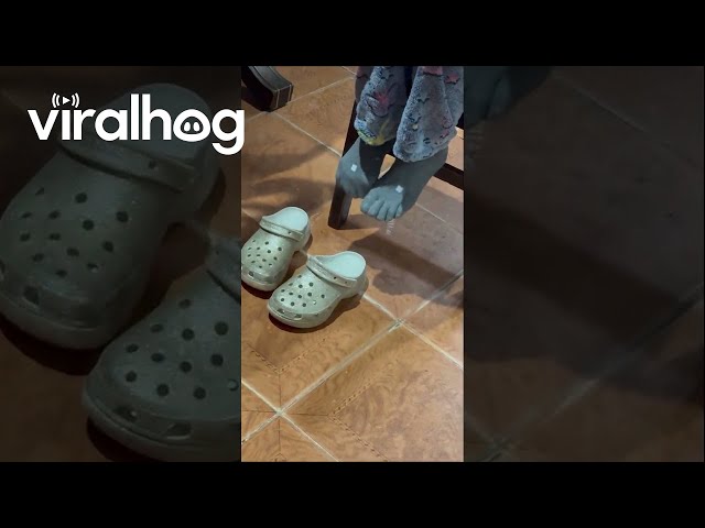 Cozy Martian Feet || ViralHog