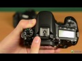Canon EOS 70D: обзор полупрофессионального фотоаппарата