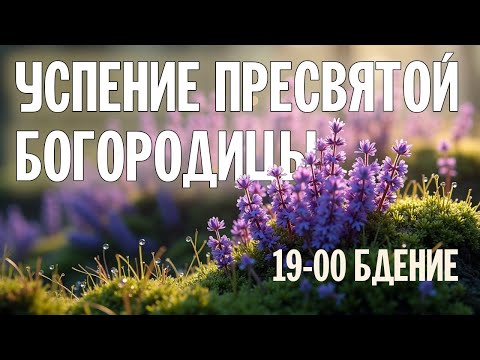 УСПЕНИЕ ПРЕСВЯТОЙ БОГОРОДИЦЫ 2024 | БДЕНИЕ | ВАЛААМСКИЙ МОНАСТЫРЬ