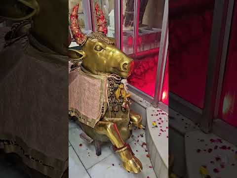 ##status of bhole baba ji##๐๐๐๐โค๏ธโค๏ธโค๏ธโค๏ธ๐น๐น๐น๐น๐๐##har har mahadev##๐๐๐๐โค๏ธโค๏ธโค๏ธโค๏ธ๐น๐น๐น๐น๐๐