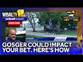 Horse racing analyst on how Gosger could impact your bet