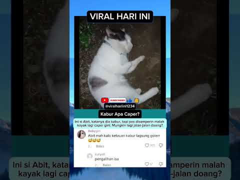 Duh meng meng #viral #trending #shortvideo #viralshorts #short #beritaviral