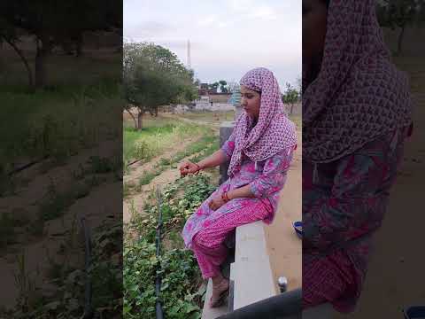 #shekhawatistudios /#newमारवाड़ीcomedy