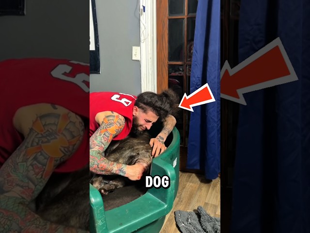 "She Cried… Then It Breathed 😢🐶💨 #shorts
