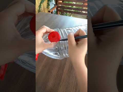 DIY Recycle Plastic Bottle For Plants Flower #diy #plants #flowers #2025