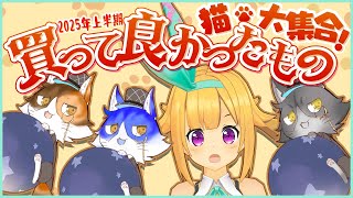 アリスと猫による、2025年上半期買って良かったものベスト3！【ベストバイ】