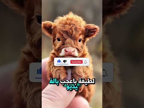 هذه الفتاه كانت تتزحلق في السوبر ماركت حدث شيء لا يمكنك تخيله ابدا!!!🔞😨💥 #subscribe #shorts