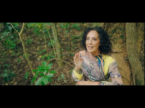 Moana And The Tribe - Moana & The Tribe - Maiea feat.Megan Henderson - Official Music Video 