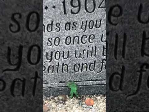 #greenninja #witchesgrave