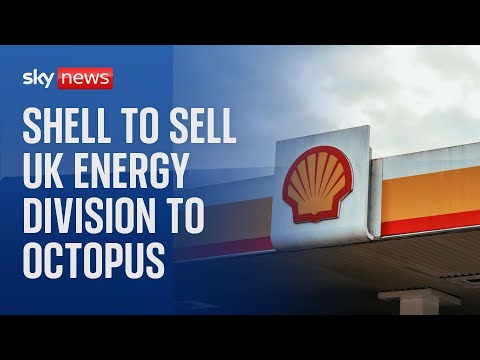 Shell to sell UK energy division to Octopus