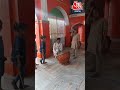Rajasthan में मौजूद मां बिजासन मंदिर के कीजिए दर्शन #shorts #shortsvideo #viralvideo