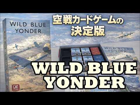 ドッグファイトから爆撃キャンペーンまで!『Wild Blue Yonder』を徹底紹介!