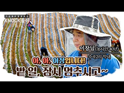 [KNOCK둘이] 이장입니다. 밭 일, 잠시 멈추시고~