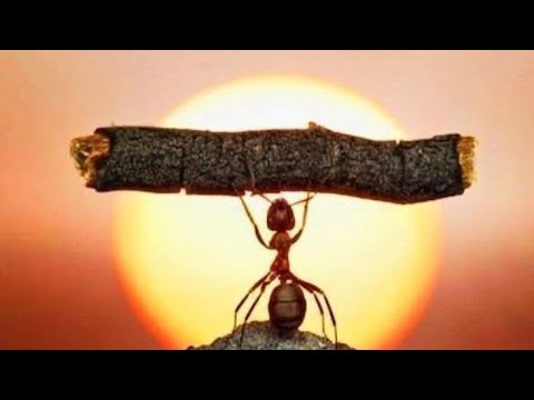 motivation question to answer 5minat me 1k subscribe live like shere comment join karo