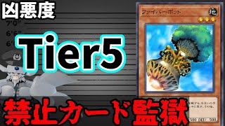 禁止カード監獄 ファイバーポッド編