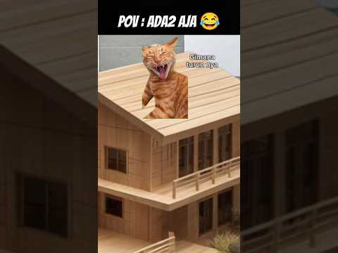 Pov : Gimana Turun nya 😨 #meme #cat #kucing#animation #funny #fypシ