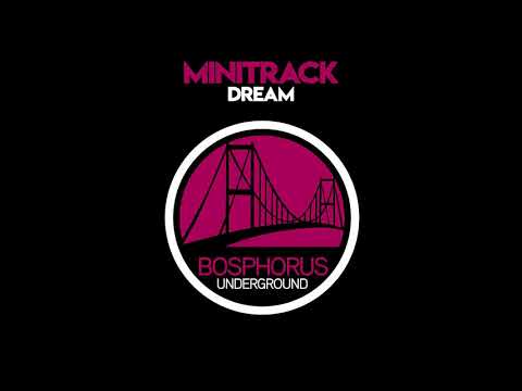 Minitrack - Dream