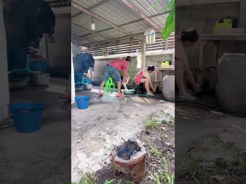 #timelapse, start to finish alone build log cabin (wooden house), how to build wooden cabin, sur 07