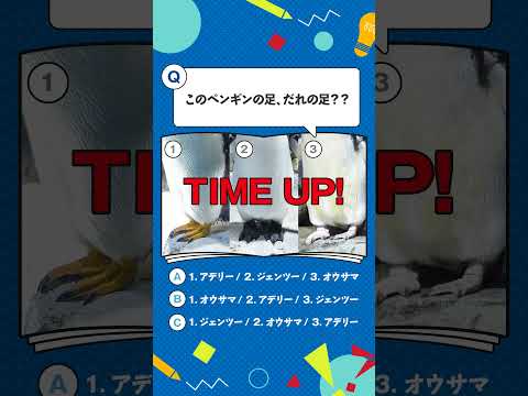 【海遊館】生きものクイズ!~ペンギンの足編~