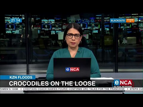 KZN Floods | Crocodiles on the loose in Durban