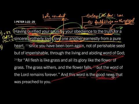 How God Purifies Our Souls from Sin: 1 Peter 1:22–25, Part 1