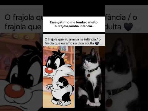 Esse gatinho parece com o Frajola do desenho,me lembro muito minha infância