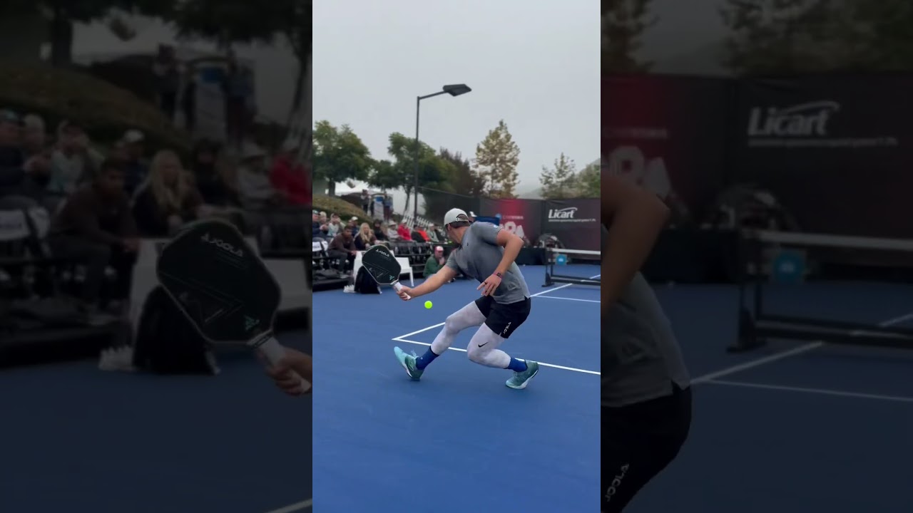 #professionalpickleballtour #ppatour