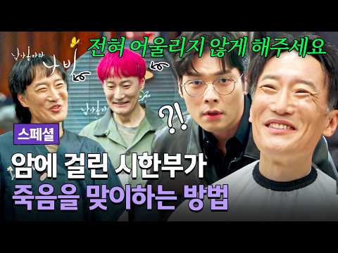 [스페셜] 아이돌 염색 해달라는 중년 <strong>손님</strong>?!💦 <strong>죽음</strong> 앞둔 시한부의 '버킷리스트' 이뤄준 최다니엘🌟 | 날아올라라 나비 | JTBC 261017 방송