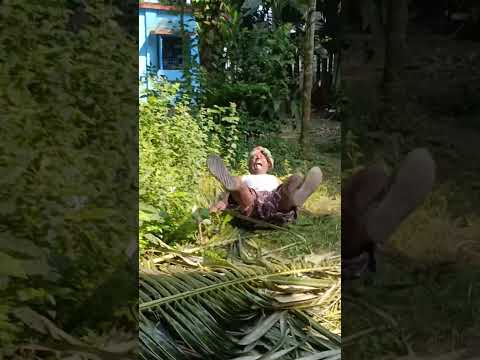 new funny videos 🤣🤣#funny #facts #comedyvideos #abcd #funnyvideos #abcd #shortsfeed #fun