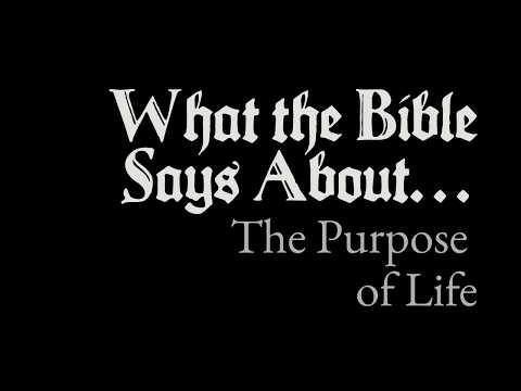 What the Bible Says About The Purpose of Life