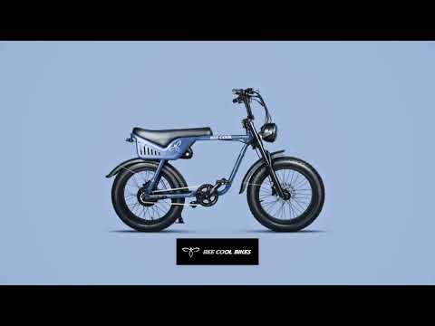 Bee Tracer | BeeCool 2024 New Ebike | 20'' x 4'' Electric Motorbike