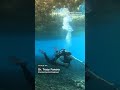 Seaweed blob twice the width of US heads toward Florida  - 00:56 min - News - Video