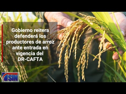 DR- CAFTA: Gobierno reitera defenderá los productores de arroz