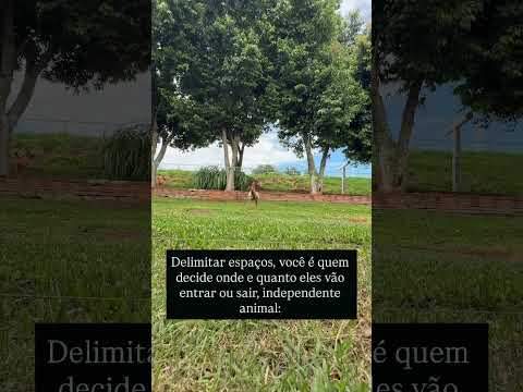 DELIMITAÇÃO COM CERCA ELÉTRICA RURAL | Choque Bruto