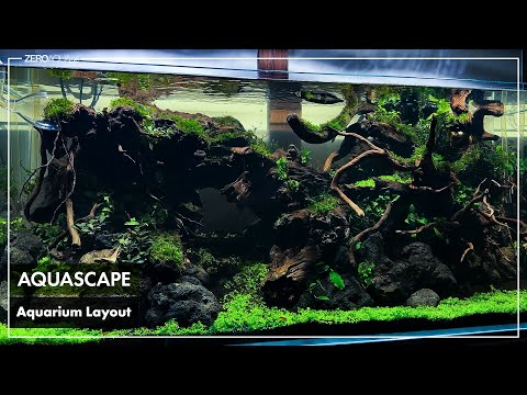120cm水景レイアウト崩れを直して水草栽植を行いました /aquascape/aquarium/120cm tank/vlog/