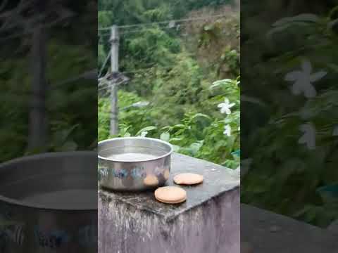 kindness to birds #shorts @nirmal videos