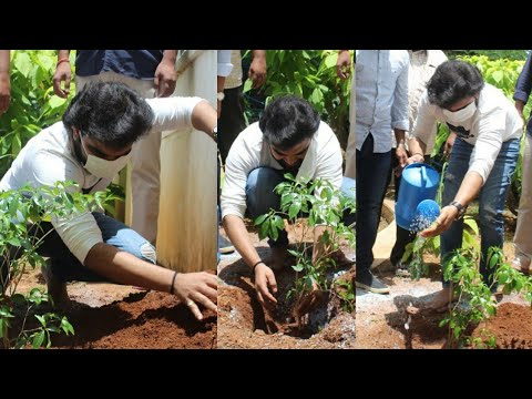 Anchor Pradeep accepts Anup Rubens’ challenge, plants a sapling Anchor Pradeep accepts Anup Rubens’ challenge, plants a sapling