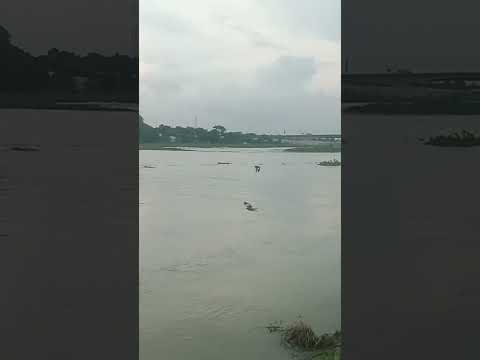 নৌকা আর নদী 💖#boots #river #shortsvideo