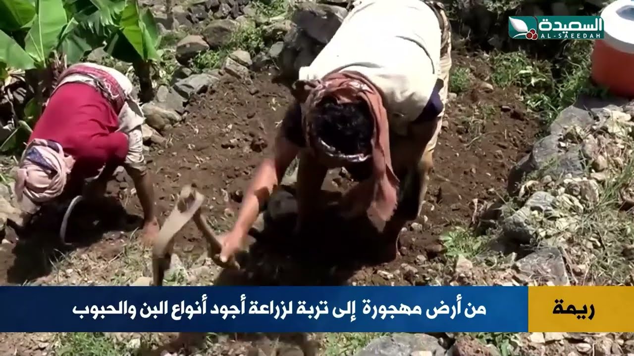 قناة السعيدة