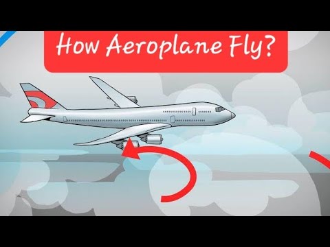 How Aircraft Fly? | Motion of Aircraft | Flying Blends ~ Orchids eLearning | General Knowledge