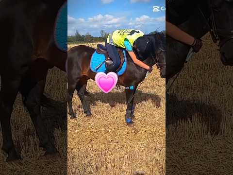 #horse #equestrianjourney #horseriding #riding #pony