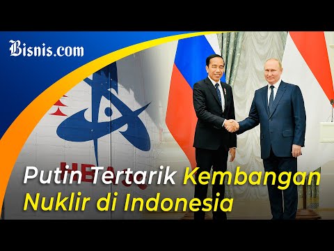 Putin dan Jokowi Bahas Pengembangan Nuklir RI