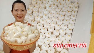 Cách làm sữa chua túi mình bán hàng ngày
