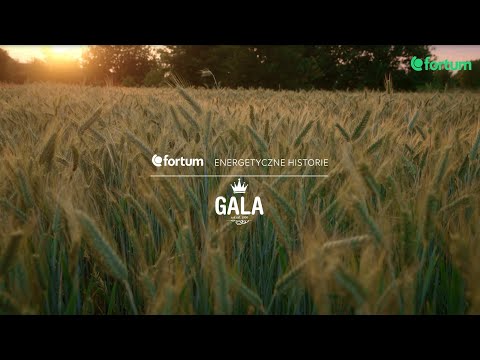 Energetyczne historie - Fortum i Piekarnia Gala